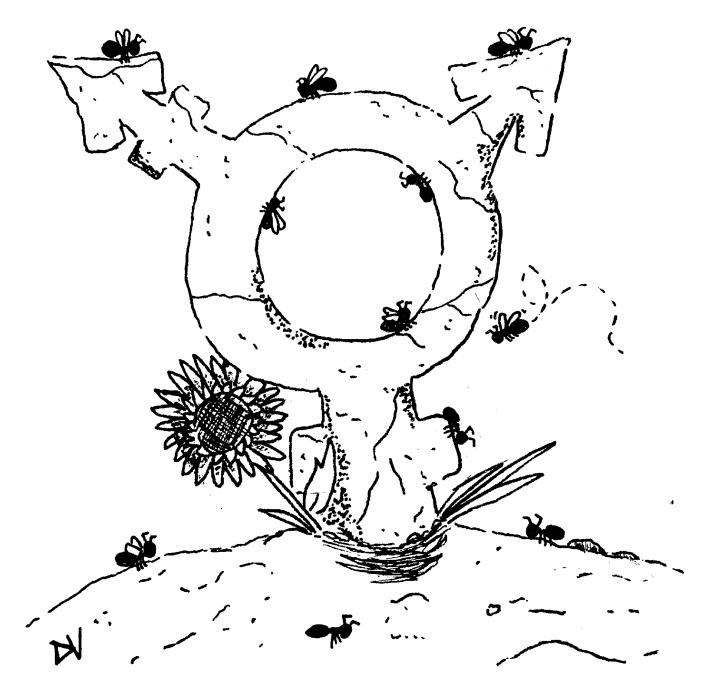 Drawing of the transgender symbol with ants